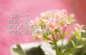 2024心态最火的句子,幽默与哲理并存