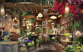 小姐姐创业开花店怎么样,小姐姐的温馨花店之旅