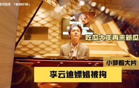 吃瓜网李云迪,李云迪嫖娼事件引发的娱乐圈震荡与反思