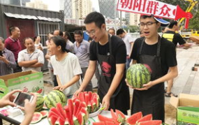 朝阳吃瓜网官网,带你领略都市生活百态
