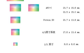 9寸 1寸 1尺打一成语正确答案,得寸进尺的贪心与智慧