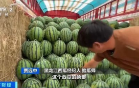 吃瓜网缅北,缅北风云背后的真相与争议
