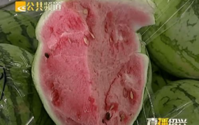 绍兴吃瓜官网,吃瓜官网带你领略地方特色佳肴