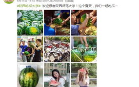 网曝吃瓜 大学,大学生劝架现场引发网友热议